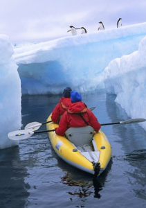kayak dans l'Antarctique au milieu des glaciers et des pingouins